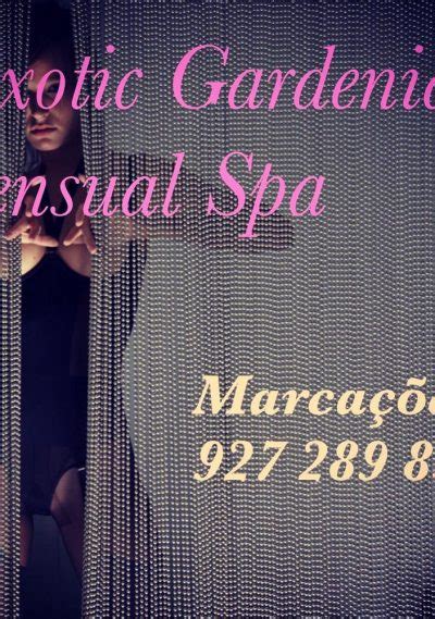 erotic-massage Porto-Recanati
